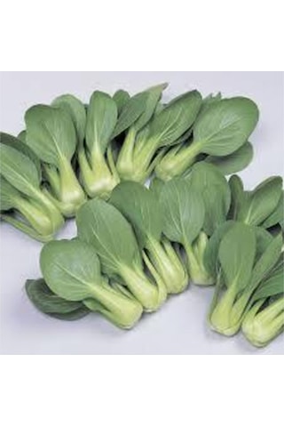 Nadir İthal Çin Lahanası Tohumu 20 Adet Tohum Baby Pak Choi