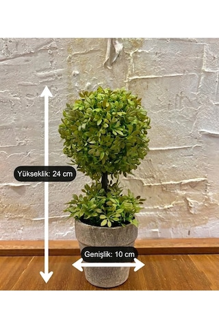 Minimalist Çift Katlı Yeşim Topiary Aranjmanı 24 Cm X 10 Cm Yeşil