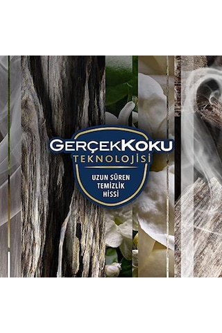 Aerosol Oryantal Oud Oda Kokusu 300 Ml 1 X 300 Ml Abundance Prosperity