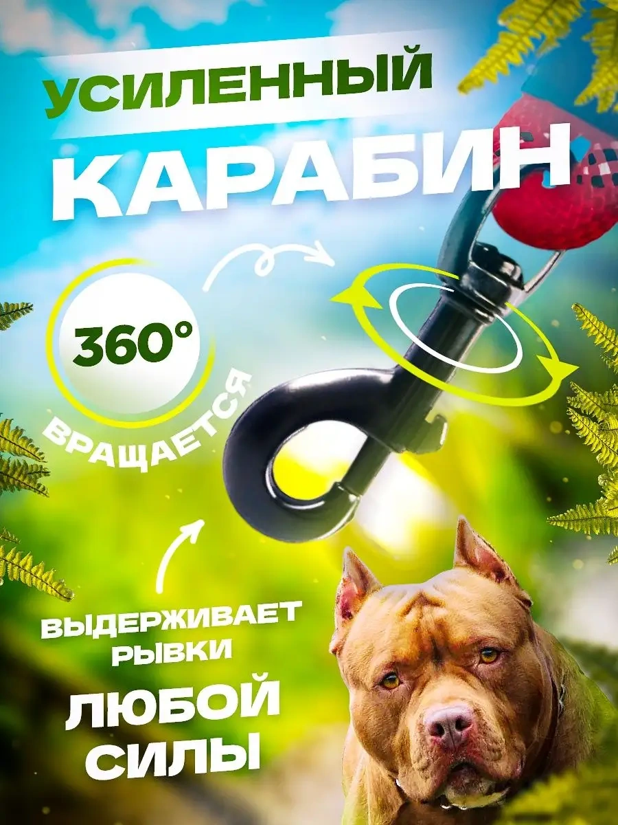 Petfort 3 M Yansıtıcı Naylon Köpek Tasması 167502163 Kırmızı