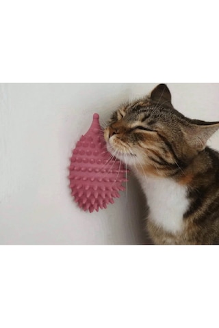 Sevimli Kirpi Kedi Kendini Tırmalayan Bakım Aleti