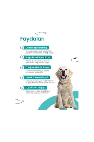 Livepet Köpekler İçin Multivitamin