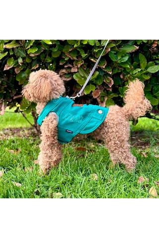 Yeni - Çam Yeşili Renk Kot Köpek Yeleği - Küçük Irklar İçin Şık V