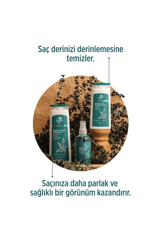 Selesta Life Okaliptüs Ve Çay Ağacı Bitki Özlü 3'lü Kepek Karşıtı Saç Bakım Seti Tüm Saç Tipleri