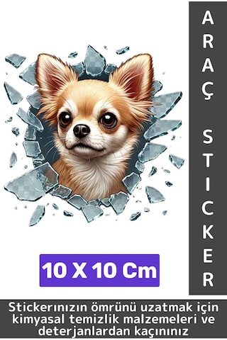 Özel Tasarım Araç Dış Modifiye Eğlenceli Yaratıcı Şık 3d Evcil Hayvan Kedi Köpek Sticker 10 X 10 Cm
