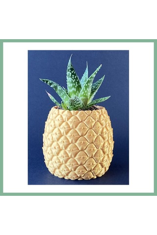Bşkvirgo 3d Baskı Ananas Formlu Saksı Ve Kalemlik Kabartma Dokulu Sukulent Saksısı Masaüstü Bitki Ve Kalem Tutucu Bsk2026 Standart
