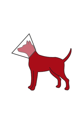 Trixie Köpek Koruyucu Yakalık L 44 x 53 CM