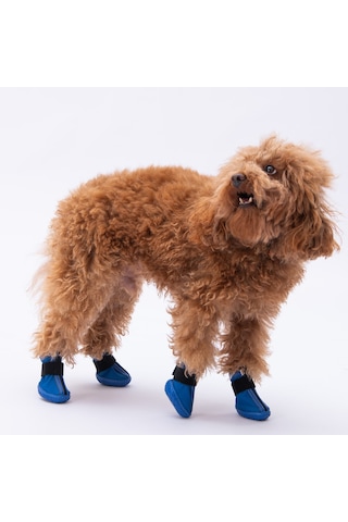 Pawstar Mavi Köpek Ayakkabısı