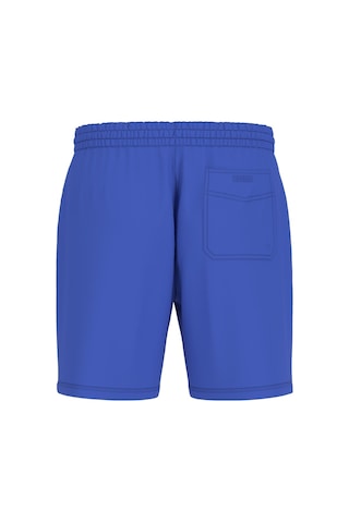 Swimtrunk Erkek Deniz Şortu Blue