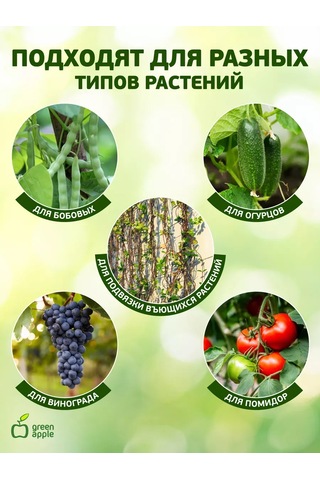 Green Apple Bitkiler İçin Bahçe Desteği 20 Cm 100 Adet 240129882