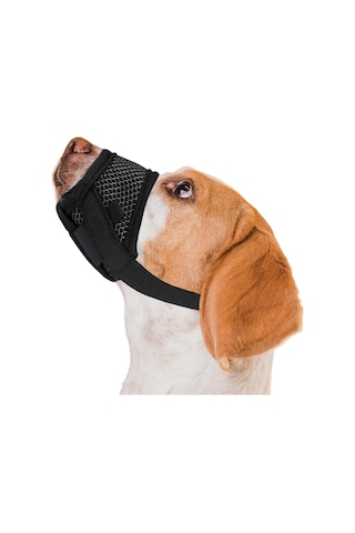 Valkyrie M Beden Köpek Ağızlığı Fileli Nefes Alabilen Ayarlanabilir Cırtlı Güvenli Köpek Ağızlığı