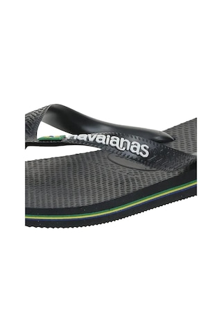 Havaianas Havaıanas Brasil Logo Siyah Erkek Parmak Arası Terlik 1069 Çok Renkli