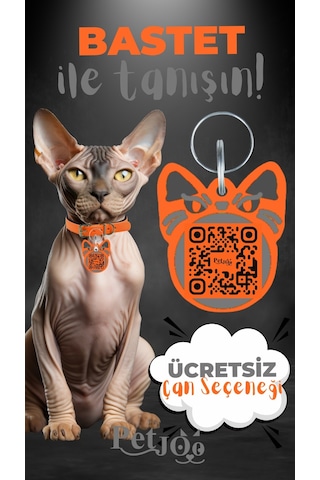 Petjoo 1.Bastet Gri-Turuncu Qr'lı Kedi Künyesi