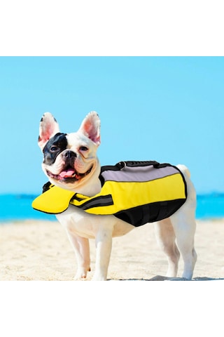 Homyl Yüzme Havuzu Köpek Için Pet Can Yeleği Koruyucu