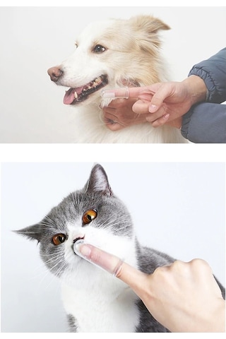 Kedi Ve Köpek Parmak Diş Fırçası (Saklama Kutulu)