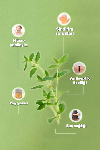 Ekstraktlı Kekik Suyu 500 Ml