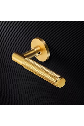 Allur Giriş Kapıları İçin Kapı Kolu 178229929