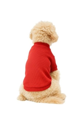 Gedyco Nar Çiçeği Küçük Irk Köpek Likralı Triko