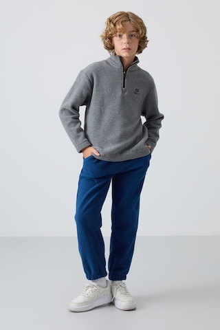 Tommylife Tommy Life Gri Melanj Kalın Yumuşak Dokulu Standart Fit Nakışlı Polar Erkek Çocuk Sweatshirt - 11221 Gri Melanj