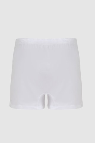 U.s. Polo Assn. Erkek Beyaz İç Giyim Alt 50326471-vr013