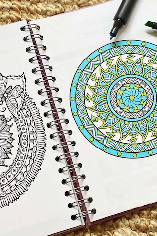 Honey Tasarımlı Spiralli Sticker'lı Tarihsiz Konuşan Ajanda Haftalık Planlayıcı renkli