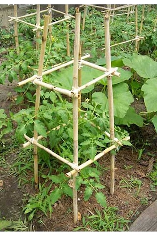 Bitki Destek Çubuğu 10 Adet 150 Cm