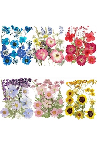 Kurutulmuş Çiçekler Preslenmiş Doğal Bitki Çiçek Mum Epoksi Reçine Kalıp