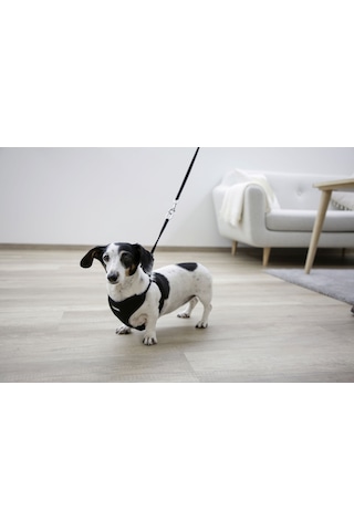 Kerbl Yavru Köpek Göğüs Tasması Siyah 30 - 50 CM Siyah