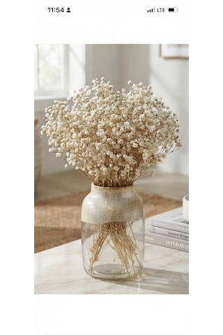 Şoklanmış Kurutulmuş Cipso Çiçeği 1 Demet 50-60gr - 35-45cm Naturel