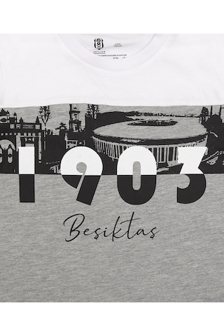 Galatasaray Bjk Tsrt 018-1 Kön Beşiktaş Orijinal Çocuk T-shirt Kişiye Özel Hediyelik Ahşap Kutulu Beyaz - Gri