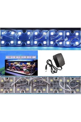 Akvaryum İçin Led Tak Çalıştır