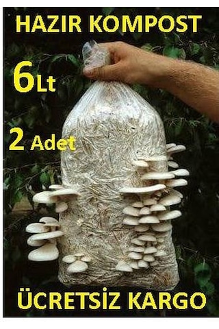 2 Adet 6 L 3 KG İstiridye Mantarı Kompostu