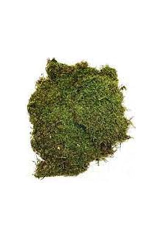Flatmoss Doğal Kara Yosunu 500 G