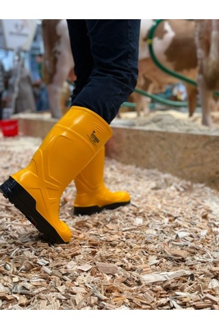 Techno Boots Poliüretan Soğuğa Dayanıklı Kısa Çelik Burunlu Sarı Çizme Sarı