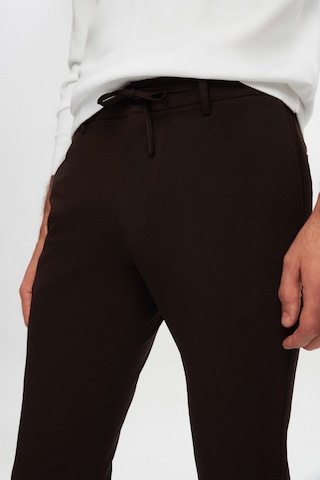 D's Damat Ds Damat Slim Fit Kahverengi Beli Lastikli İpli Fermuarlı Likralı Rahat Jogger Pantolon 2hc03ortjgr01 Kahve Kahverengi