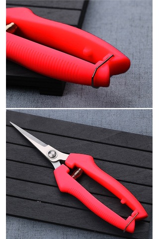 Qingmipy "paslanmaz Çelik Bahçe Budama Makası - Meyve Toplama Ve Bitki Budama İçin Çeşitli Boyutlar"