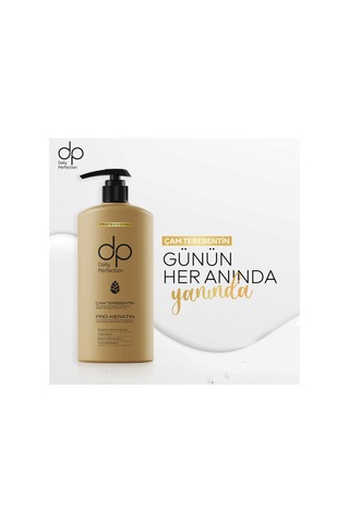 Dp Daily Perfection Şampuan Çam Terebentin 6 x 800 ML