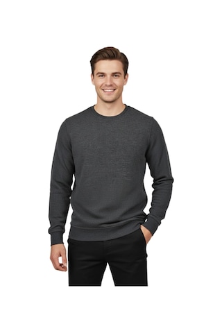 Raymons Erkek Sıfır Yaka Petek Doku Regular Fit Sweatshirt Bgl-st04950 Antrasit