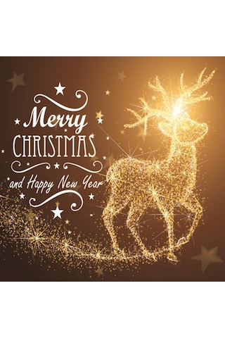 Qingmipy Noel Ateşi Oluşturucu Pvc Cam Kapı Duvar Sticker - Yeniden Kullanılabilir, Suya Dayanıklı Noel Geyiği Arabası Deseni Diğer