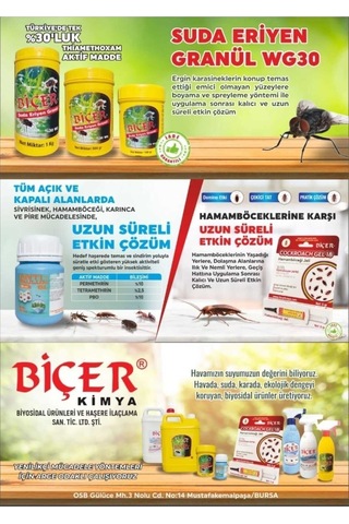 Biçer Antipaulum Sl 500 Ml X 2 Adet