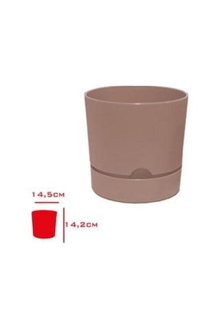 Polıwork Saksı Begonya 15 Cm Krem