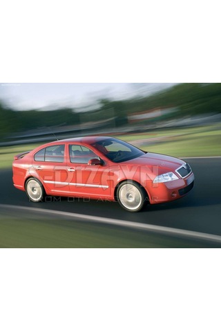 Skoda Octavia A5 Krom Yan Kapı Çıtası 4 Prç. 2004-2013