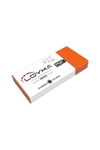 Loyka -mono Mono Tek Kullanımlık Sıcaklık Kayıt Cihazı