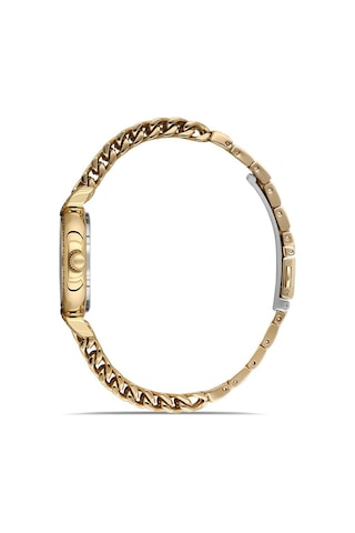 Dice Kayek Dk.1.ag1411.04 Taşlı Tasarım Çelik Kordon Çelik Kasa 5 Atm Suya Dayanıklı Altın Renk Kadın Kol Saati Altın