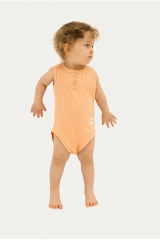 Totzee Kolsuz Body Somon