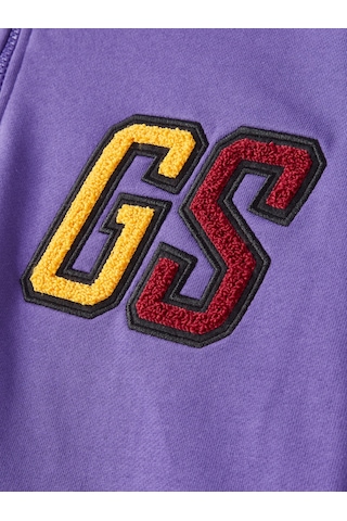 Gsstore Galatasaray Erkek Yarım Zip Hoodie E252107 Mor