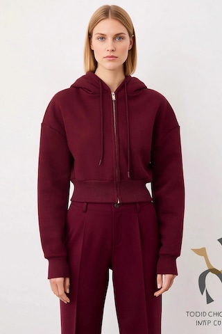 Benerly Kadın Kapüşonlu Fermuarlı Uzun Kollu Örme Sweatshirt Fonksiyonel Mürdüm