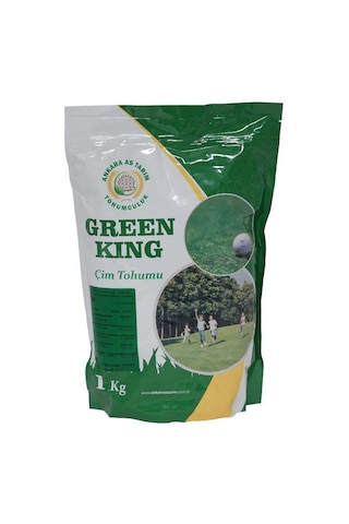 Green King Çim Tohumu 4'lü Karışım Gölge Alanlar 1 Kg