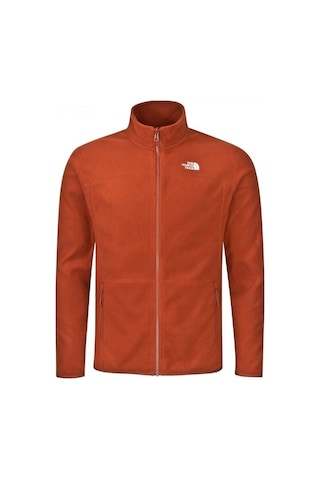 The North Face 100 Glacier Erkek Full Zip Polar