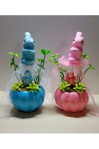 Neolife Yeni Doğan İkiz Bebek Hediyesi Doğum Tebrik Hediyesi Sevimli Tavşancık Detaylı 2 li Kabak Teraryum